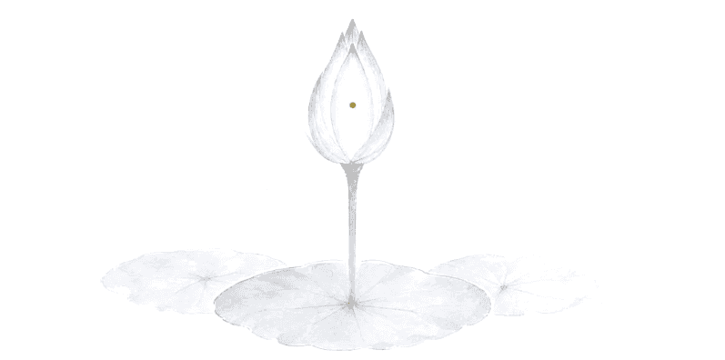 次代に繋がる蕾のイラスト